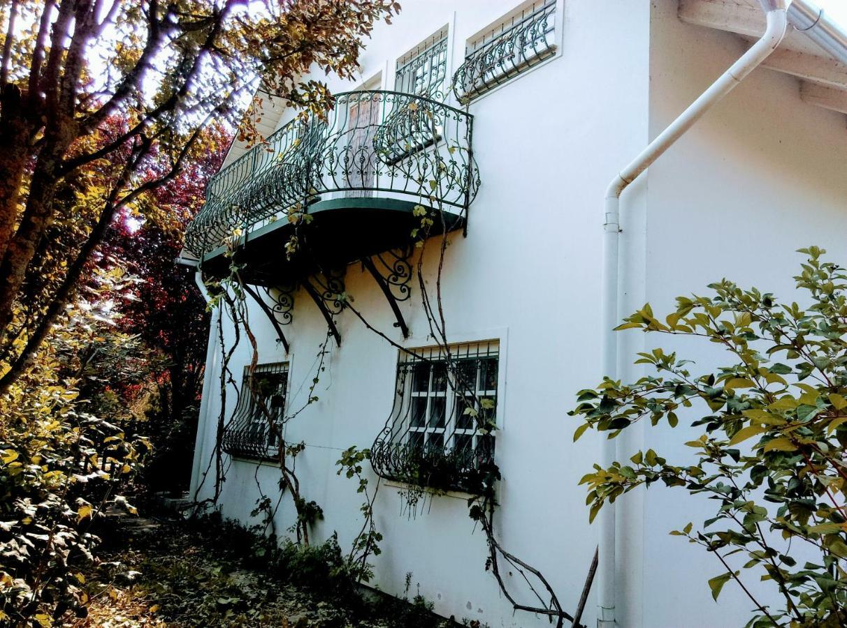 Ferienwohnung Fesztival Nyaralohaz Zamárdi Exterior foto